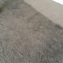 Elite Carpet Cleaning