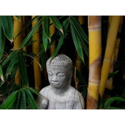 Gallery Image Number 7