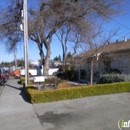 Camin Landscaping - Landscape Contractors