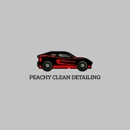 Mike's Country Auto Spa - Car Wash