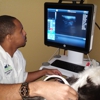 Veterinary Referral & Emergency Hospital of Arlington gallery