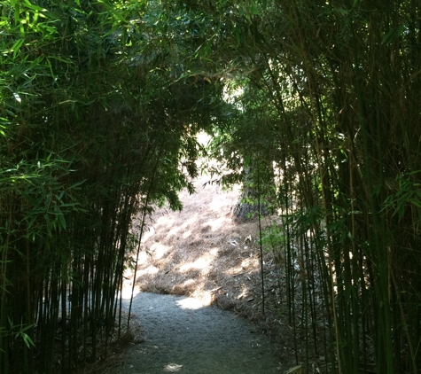 Huntington Library Art Collections and Botanical Gardens - San Marino, CA. Bamboo path.