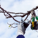 TerraPro Stump Grinding - Tree Service