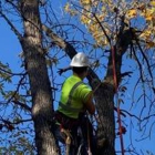 Central MN Tree Service
