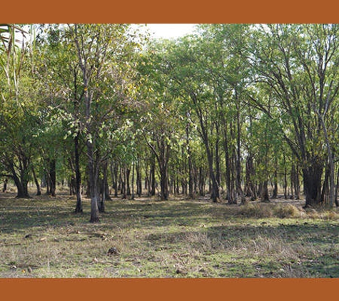 Roper Gulf Regional Council - Numbulwar, NT