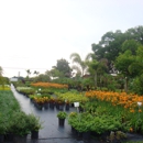 Infante Services Inc. - Nurseries-Plants & Trees