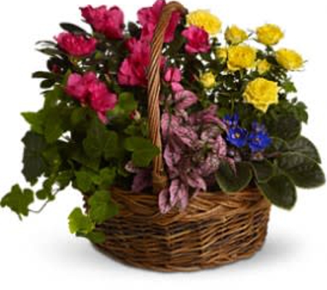 Heaven Scent Flowers and Gifts - Newcomerstown, OH