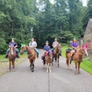Horsing Around the Barn - Horse Training