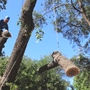 C.I.R. Tree Service