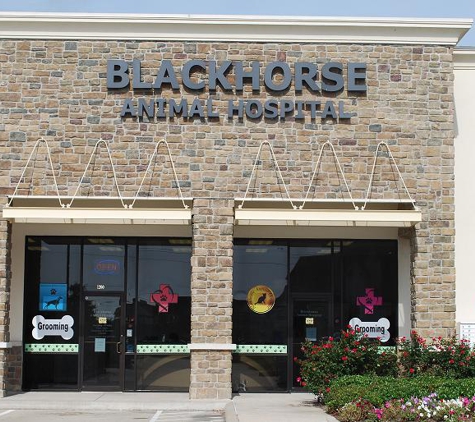 Blackhorse Animal Hospital - Cypress, TX