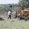 Gil's Tree Services gallery