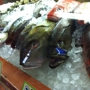 Seven Seas Seafood Market