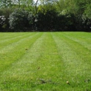 Peacehaven Landscaping & Lawns - Landscape Contractors