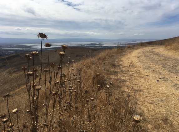 Ed Levin County Park - Milpitas, CA