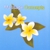 Massage Concepts - Massage Therapy
