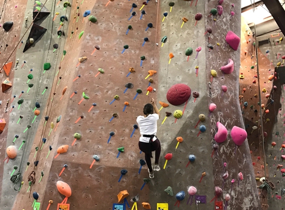 Vertical Rock Climbing & Fitness Center - Manassas, VA