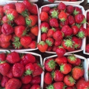 Fresh Strawberry Field - Fruit & Vegetable Markets