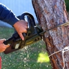 Prairie Grove Tree Service gallery