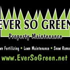 Ever So Green LLC