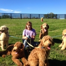 Twin Lakes Kennel, LLC - Pet Boarding & Kennels