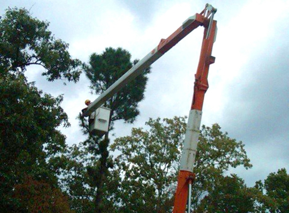 Manu's Tree Works - Honolulu, HI