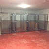 Doggie Daycare gallery