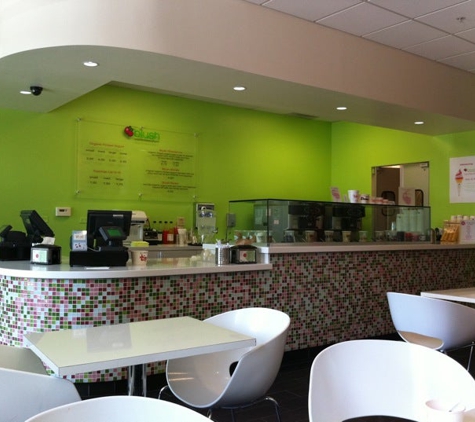 Blush Organic Frozen Yogurt - Dublin, CA