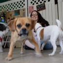 The Dog House L.A. - Pet Sitting & Exercising Services
