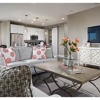 Miner's Grove By Richmond American Homes gallery