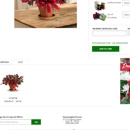 Hummingbird Forest - Florists