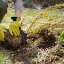 Pike Tree & Landscape Service - Tree Service