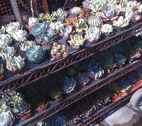 La Cienega Nursery - West Hollywood, CA