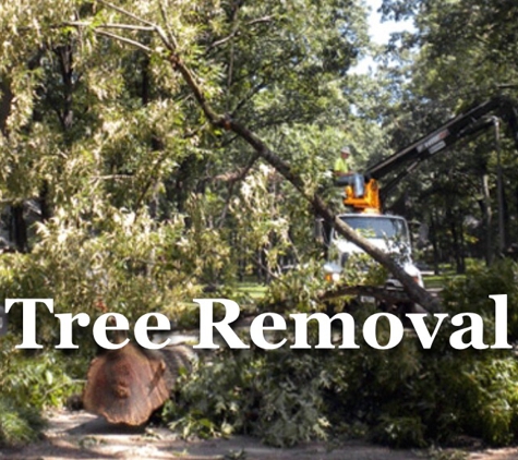 Michael's Tree and Loader Services - Memphis, TN