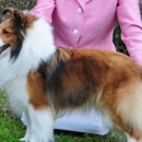 Millennium's Pet Spa - Pet Boarding & Kennels