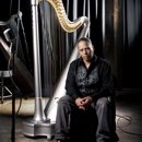Harpist Carlos Guedes - Bands & Orchestras