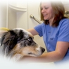 VCA Vaughn Road Animal Hospital gallery