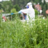 Cook's Pest Control gallery