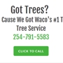 Best Waco Tree Service