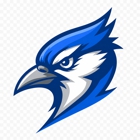 Blue Jay Electric