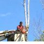 Kennebec Tree Service