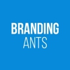 BrandingAnts gallery