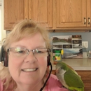 In A Pickle Parrot Shop - Birds & Bird Supplies