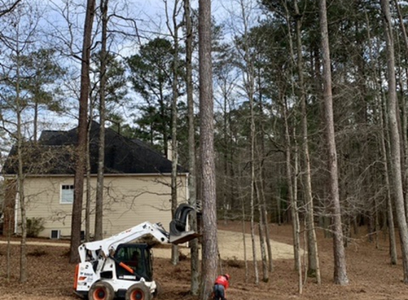 Ricardo's Tree Service, LLC - Peachtree City, GA