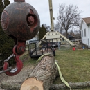 Polgar Tree Service Removal LLC - Arborists