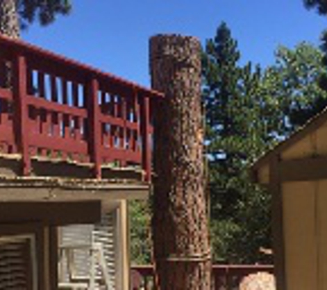 Poseidon Valley Tree Service - Running Springs, CA