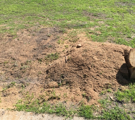 Low-cost stump grinding inc. - Bunnell, FL