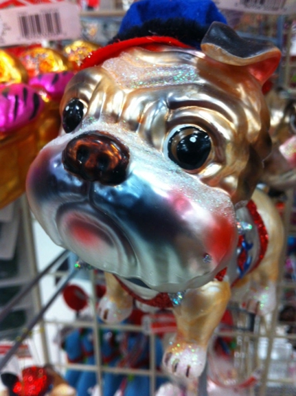 Carousel Gallery #11