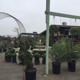 Marina Del Rey Garden Center