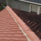 Coyote Roof Cleaning