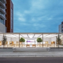 Apple Domain NORTHSIDE - Computer Data Recovery